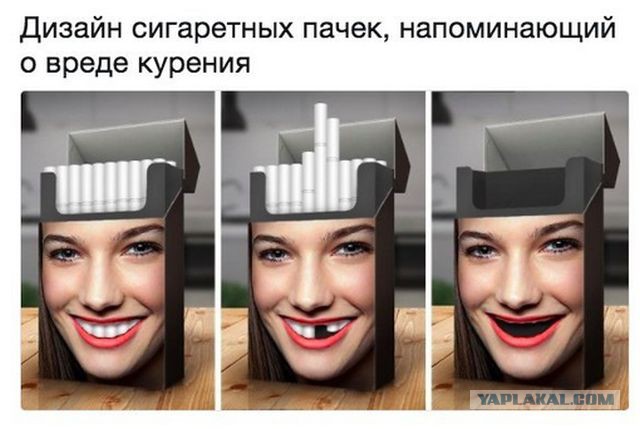 Подборка интересных и веселых картинок