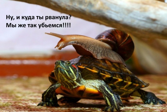 Биатлон. Сезон 2017/2018. Часть 3. Хохфильцен Австрия.