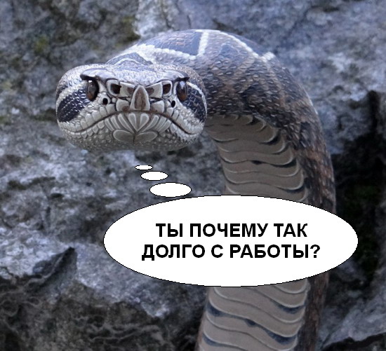 Подборка интересных и веселых картинок