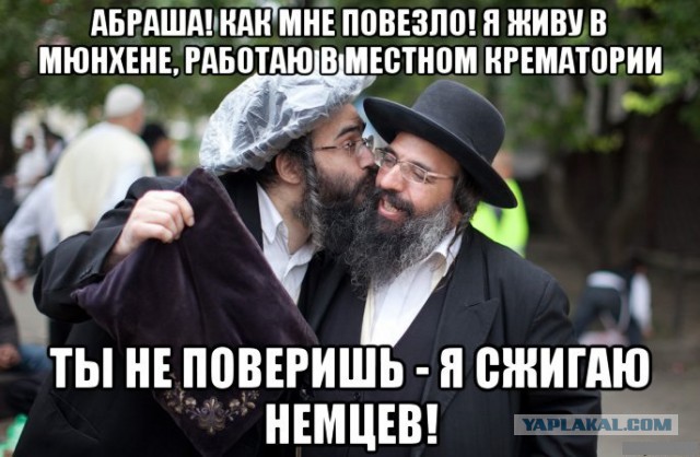 Смешные картинки с подписями
