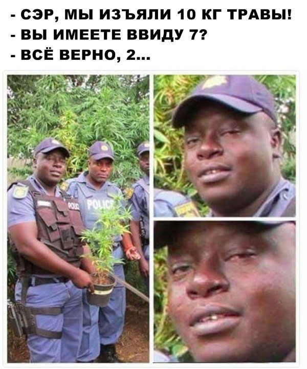 Немного картинок в эту среду