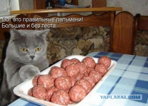 Откровение мясника о пельменях, после которого я их больше не покупаю
