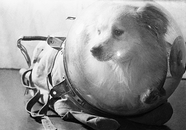 История в фотографиях
