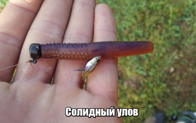 Нестандартный юмор