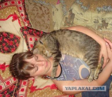 Сонный Котовторник