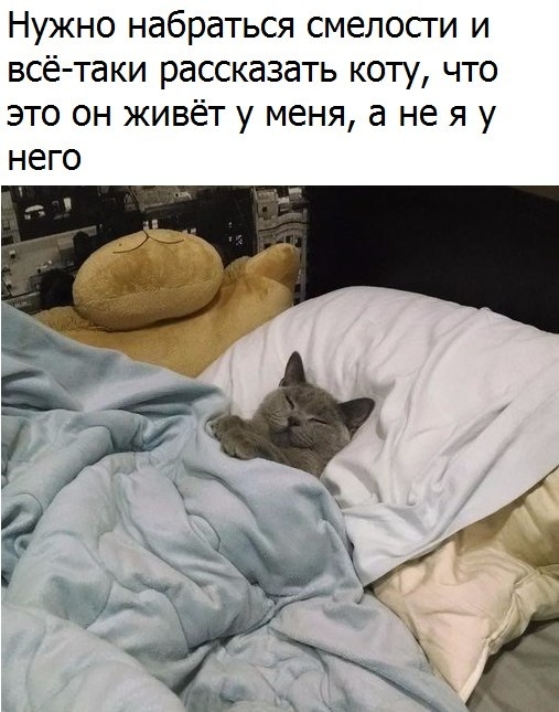 Смешные комментарии из социальных сетей 23.11.2018