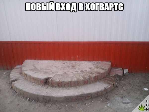 Прикольные картинки абавсём