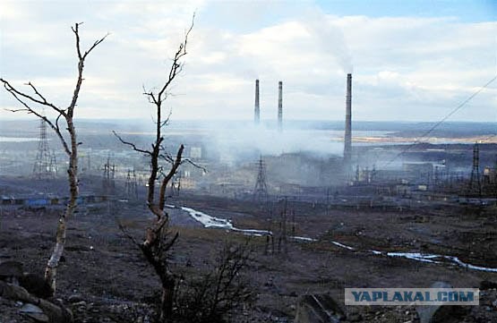 Теперь они свободны!