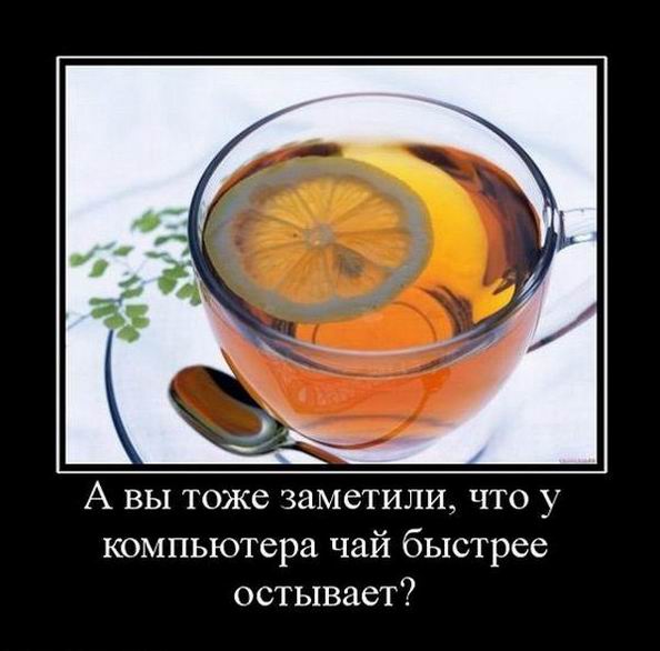 Подборка интересных и веселых картинок 18.03.19
