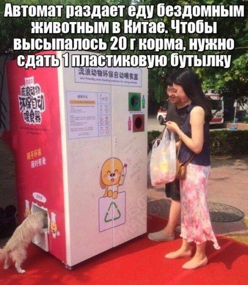 Чуток картинок! 11.08.19