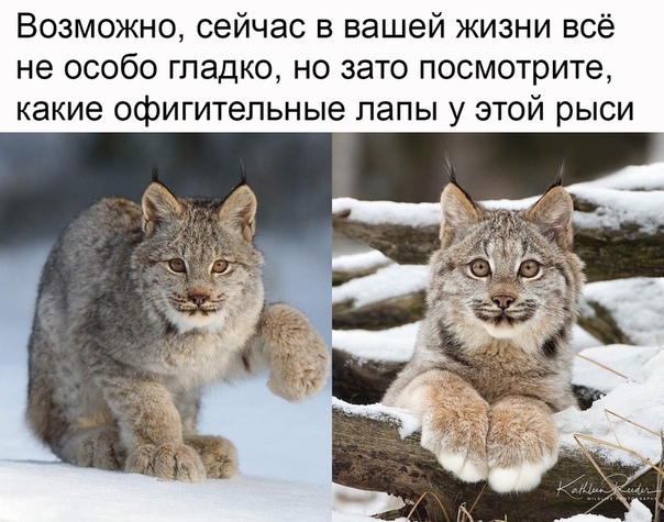Борщ из картинок, людей, приколов, чуток боянов и всякого такого