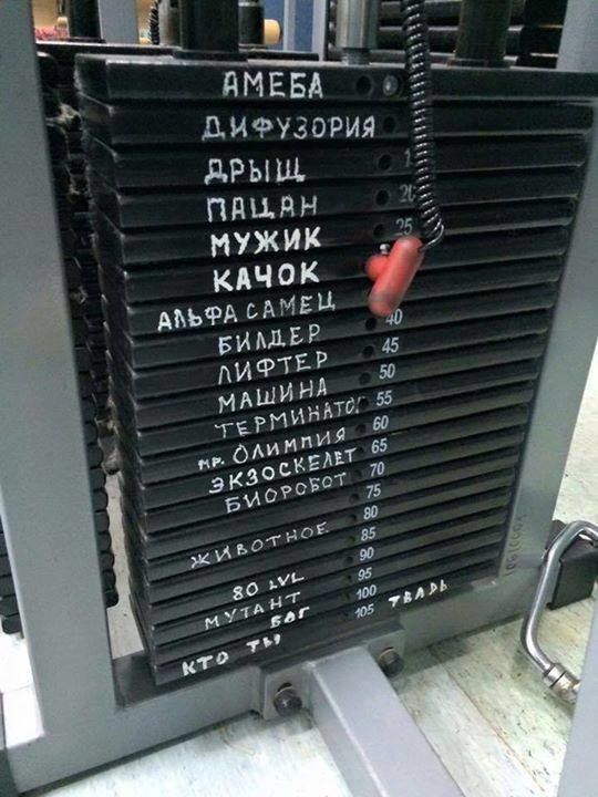Картинок пост