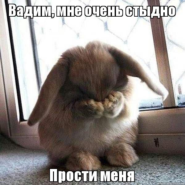 Немного картинок для настроения 29.11.19