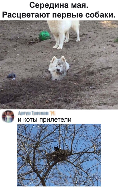 Немного картинок для настроения 16.05.20