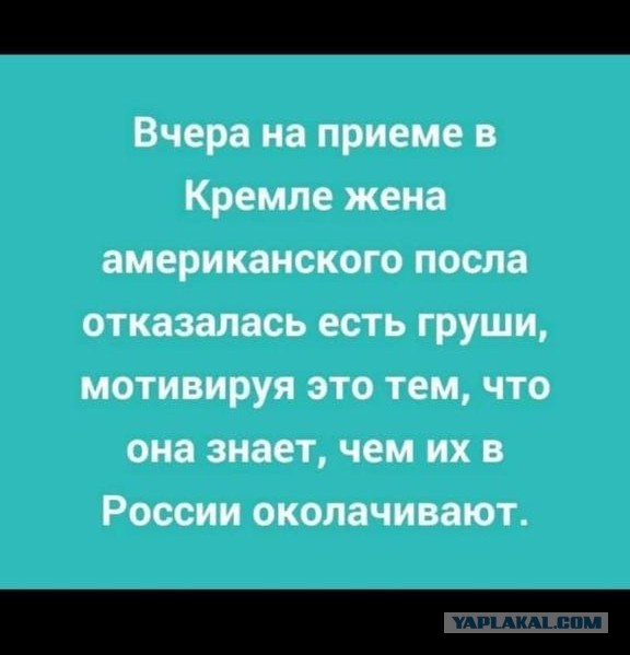 Чуток картинок не про вирус 24.0 Просто поржать