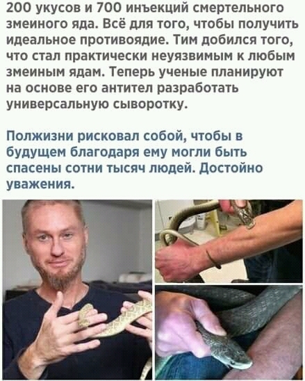 Дурацкие картинки