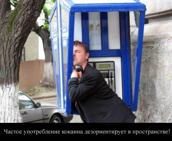 Фотожаба: Алло!