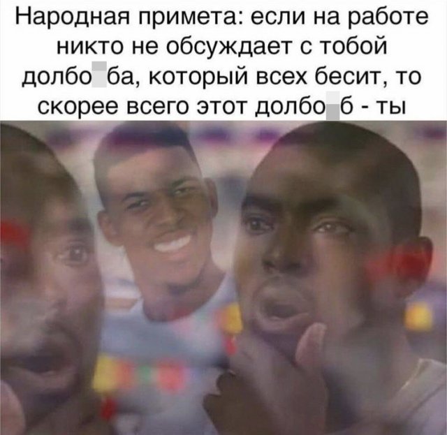 14897029.jpg