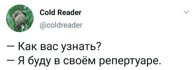 Веселые истории о нас №237