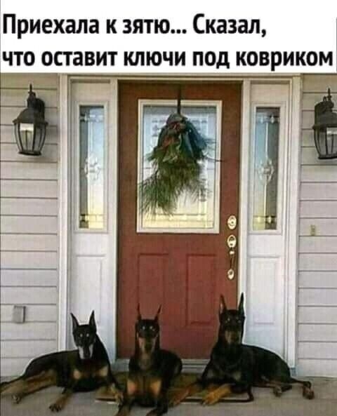 Бредзона 22.11.20
