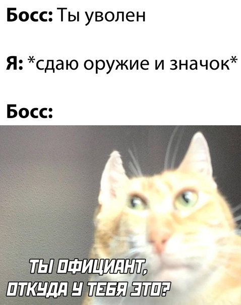 Картинки и мемы для настроения 005