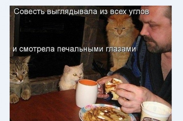 Бредзона 24.01.21