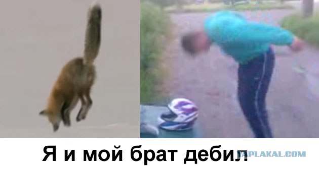 Проверка шлема