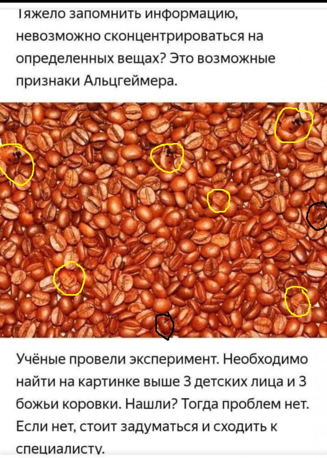 Бредзона 10.02.21