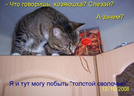 Пятый слой