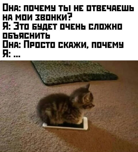 Всякие разные картинки 16.03.21