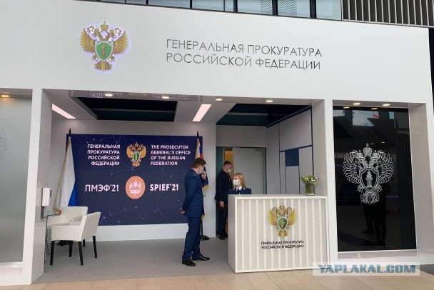 Вы на нас плюете. А мы вас ненавидим