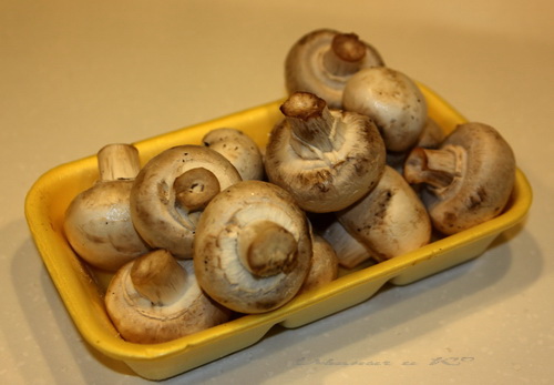 Беф - Строганов ... и грибная подливка