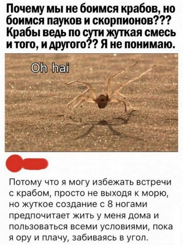 Картинки и мемы на все случаи жизни