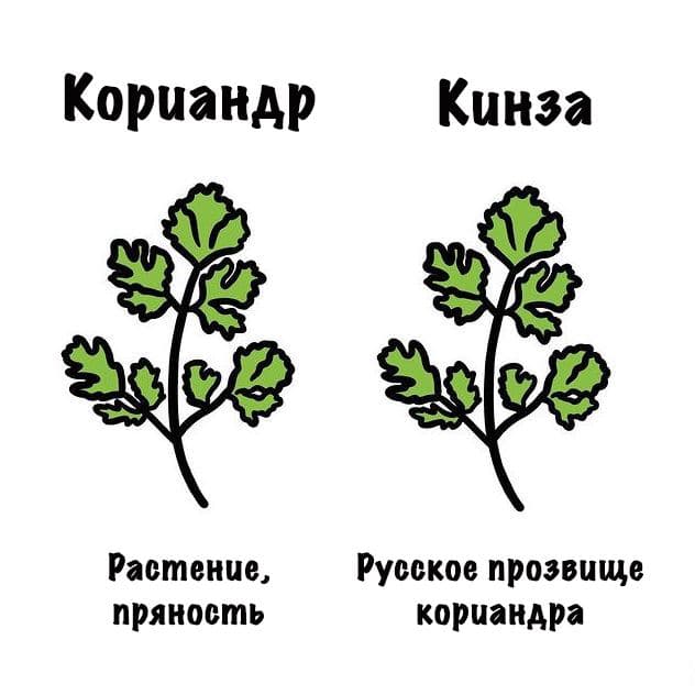 Картинки на субботу