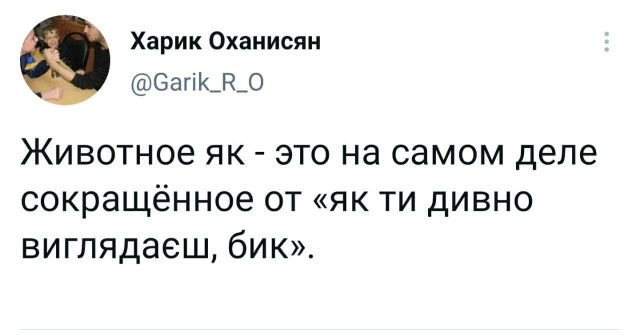 "Купил коту игрушку" и другие картинки