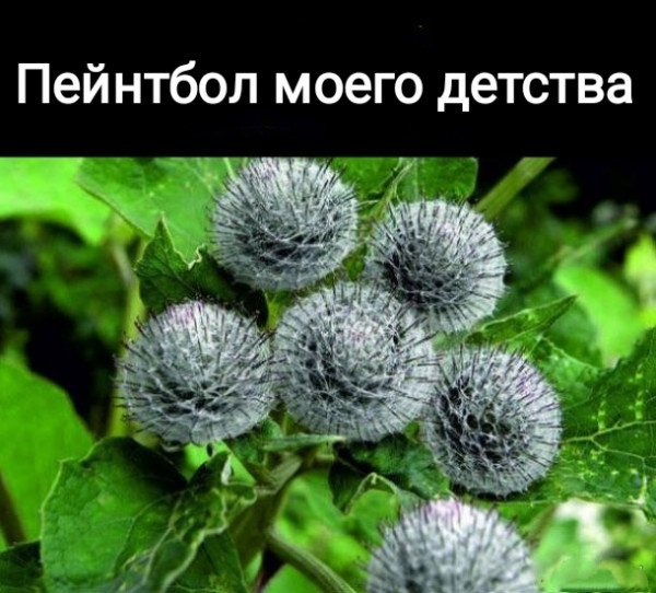 Разные картинки для настроения на любой вкус - 4
