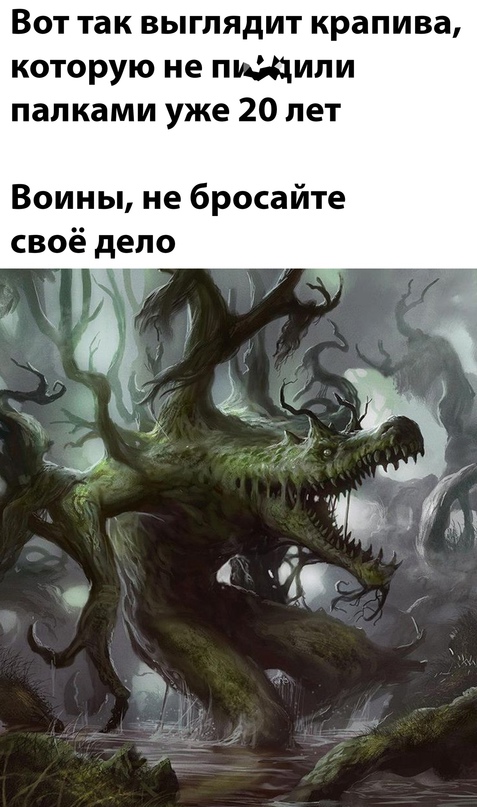 Весёлый полтишок 20.01
