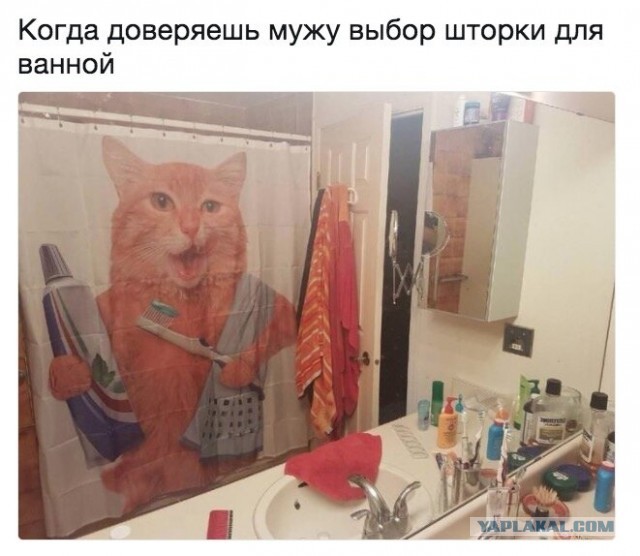 Так себе картинки 23.04.22