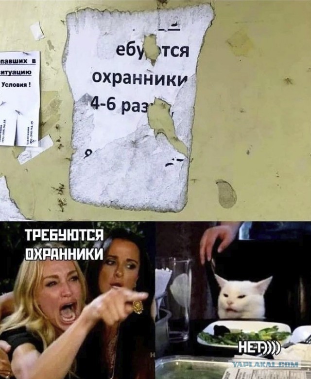 Картинки с надписями и всякие жизненные фразы