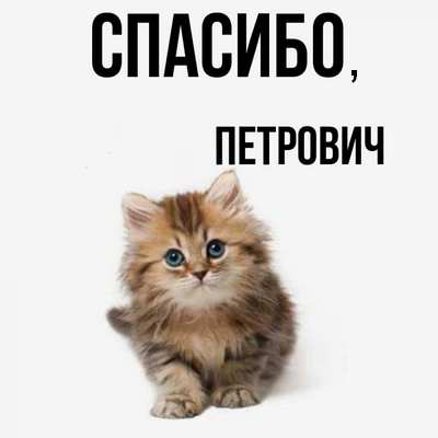 Пандемия. Коронавирус и съехавшие крыши. Россия и мир. Часть 34.