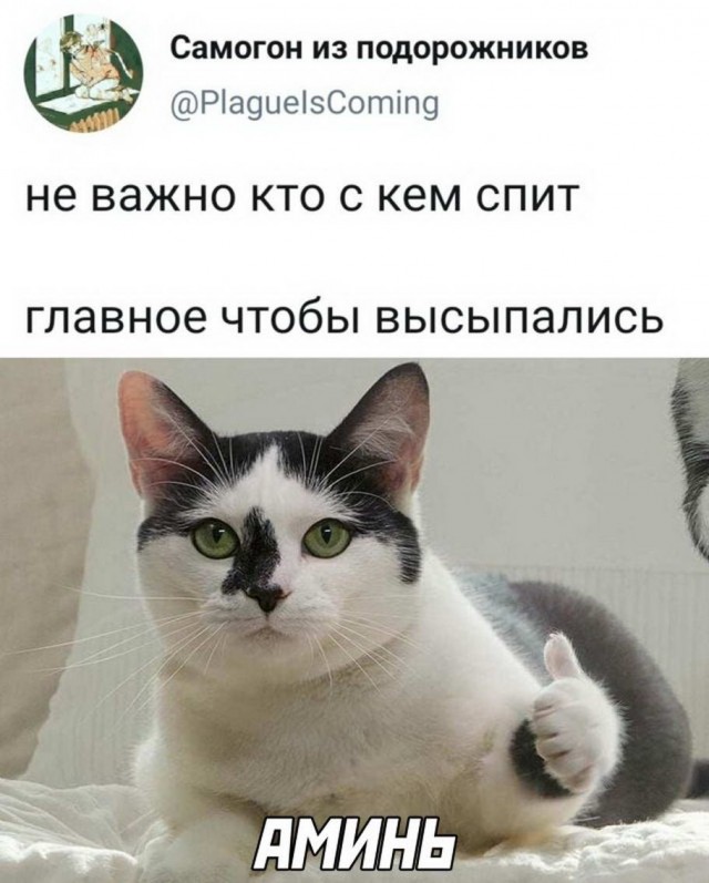Так себе картинки 05.07.22