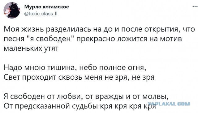 Картинки аморальные и всякие разные - 37