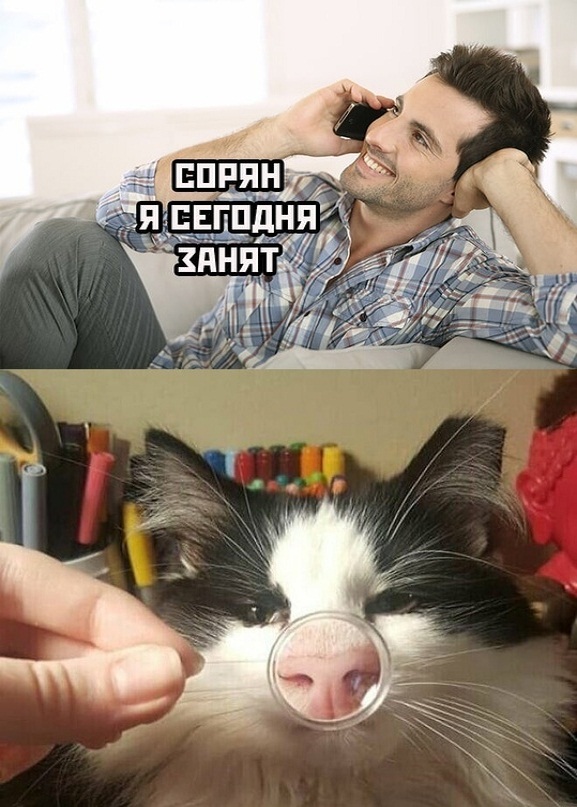 Картинки и мемы для настроения - 133