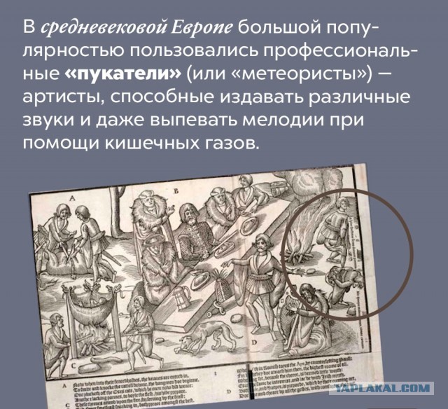 Подборка бесполезных,но интересных фактов.