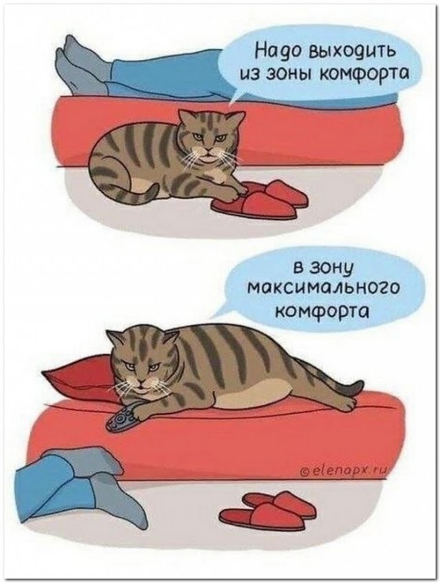 Картинки и мемы, выходные продолжаются