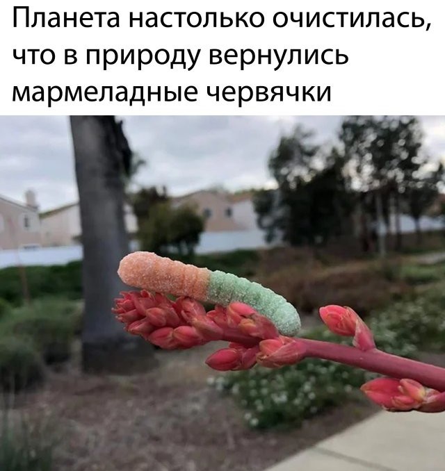 Весёлый полтишок 17.01.23