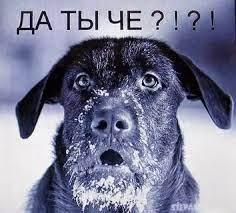 Россиянам не стоит ждать роста пенсий, заявили в Госдуме