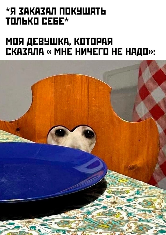 Немного картинок для настроения - 137