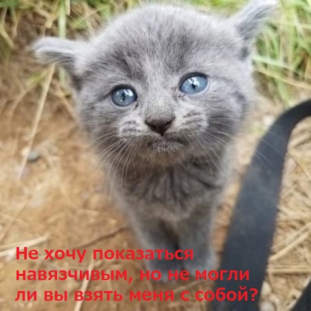 "Уехал на рыбалку, вместо рыб вернулся с этим"