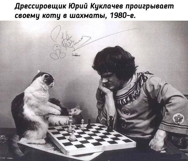 Народная меДИЧина 2011